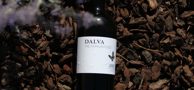 Dalva lança Metamorfose Douro Branco 2019